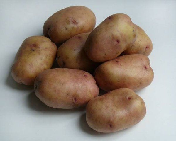 Правильне зберігання картоплі взимку
