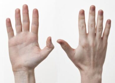 Чому людські пальці різної довжини