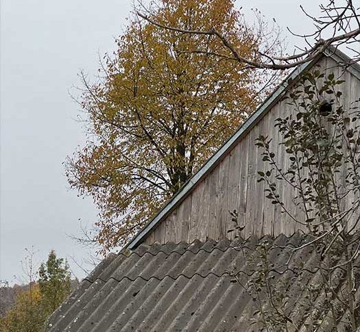 Дімо, а ось скільки тобі років? – несподівано спитала Наташа. – Мені двадцять три. А що? – Та нічого. Це чудовий вік. Одне засмучує, що об’єктом для залицяння ти вибрав дуже дорослу жінку. Мені сорок три! Наташа сказала це з усмішкою і чекала, що Діма здивується і одразу прибере свою руку з її долоні. Але те що хлопчина зробив дальше відібрало мову в Наталки