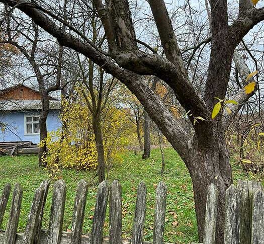 Я, стара, на підлозі не засну, а Вадимушку на матрац я теж не покладу. Ти ж знаєш, у нього спина хвора, грижа. Не дай Бог простигне! На підлозі тобі з донькою матрац постелю, а синочок мій хай на дивані спить, – поставила перед фактом свекруха Риту