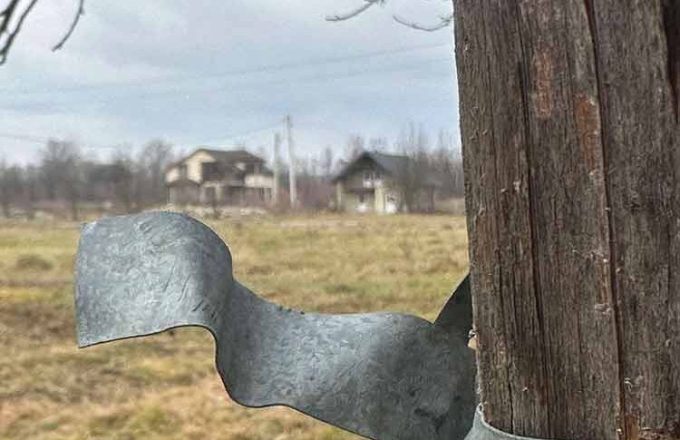 У мене у сім’ї завжди сини народжувалися першими! Як ти посміла дівку народити? – крізь зуби процідив Ельдар дружині