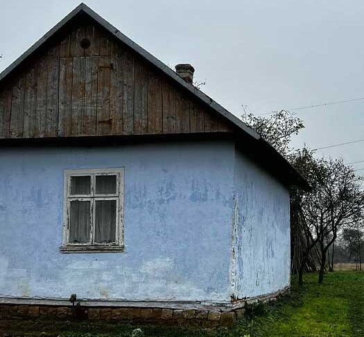 Цікаво, скільки багаті родичі нам на весілля подарували. Може, ми можемо місяць-другий пожити у готелі? – Майя розкрила конверт і зазирнула всередину. А потім почала сміятися так, що потекли сльози з очей. Те як вчинило подружжя дальше здивувало всіх