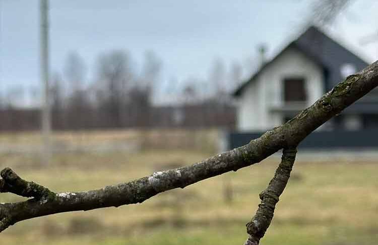 Ти думаєш, що обручка щось означає? Не надійся! Прізвище ти своє залишиш. Тому, що наше треба ще заслужити! Ти не за якогось там простого хлопця вийшла заміж! Він у нас – завидна партія для багатьох, хто кращий за тебе! Тож не здумай його ганьбити. Інакше доведеться мати справу зі мною, – як гроза посеред ясного неба випалив батько Віктора на весіллі