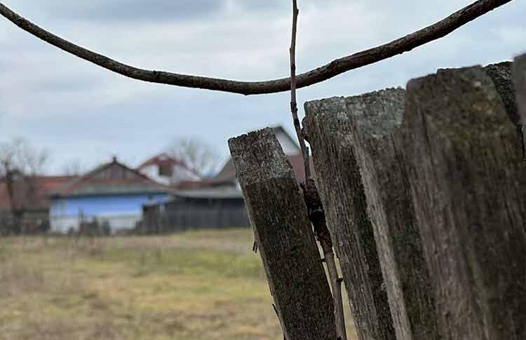 Олено, ну що ти усілась? Давай обслуговуй мою рідню. І маму свою вгамуй! Весілля – справа двох сторін, треба вміти йти на компроміс, – заявив Єгор коли в квартиру Олени увірвалась рідня майбутнього чоловіка