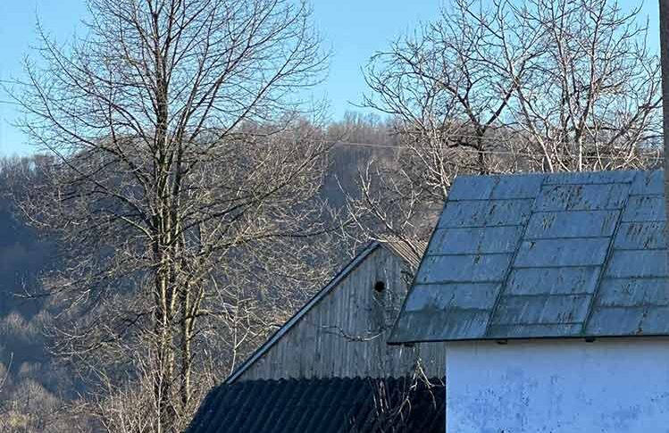 Батька здавай у будинок інвалідів. Я вже дізналася. Поблизу є кілька безкоштовних. А я з вами житиму. Швидко порядки наведу у вас! – випалила свекруха Віолеті. Втративши дар мови, Віолетта стиснула пальці, так сильно, що подряпала нігтями ніжну шкіру долонь