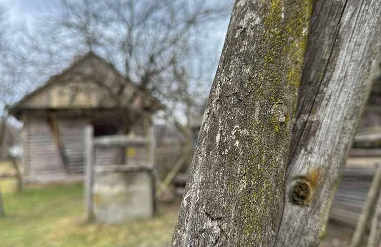 — Це ваш брат, так? Ви такі схожі… — Всі так кажуть, — засміялася Даша, — Але це нерідко буває, якщо шлюб щасливий, і особливо, якщо подружжя прожило один з одним уже багато років – воно стає схожим одне на одного. На обличчі Андрія відбилося здивування. — Стривайте, — задумливо сказав він, — але цього не може бути. Це Артем, чоловік моєї сусідки Яни. У них ось-ось народиться дитина. У Даші округлилися очі з подиву