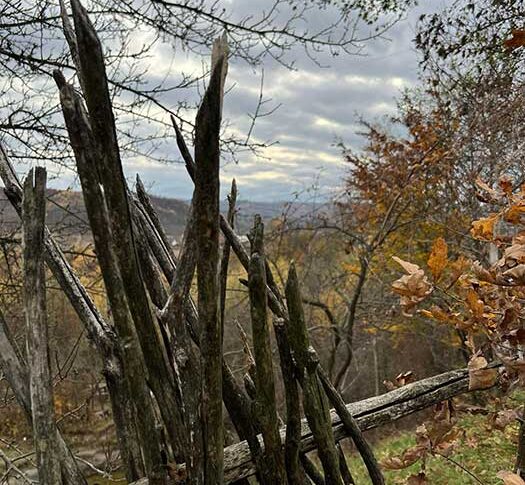 Забирай свого нервуса, — штовхнула шестирічного Сашка в спину матір і пішла, грюкнувши хвірткою. Він зрозумів, що його просто викинули, як непотрібну річ. Сашко злякано глянув на бабусю, яка стояла і мовчки розглядала Сашка. А він не знав, що йому казати і що робити. Чи треба бігти за матір’ю, чи треба посміхатися бабці. Бабка нахилилася, взяла сумку і сказа Сашкові