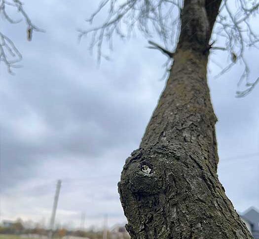 Подивись на себе… погладшала, живіт висить, целюліт скрізь. На вулицю вийти з тобою соромно! Я іду від тебе в мене є інша, – заявив дружині Микола