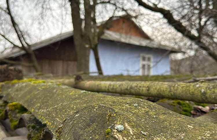 А ти чого прийшов? Я тебе не кликала. Тістечка я купила для своєї онуки. Ти чужий! Тобі ні крихти! — процідила крізь зуби мати Євгена, п’ятирічному Денисові