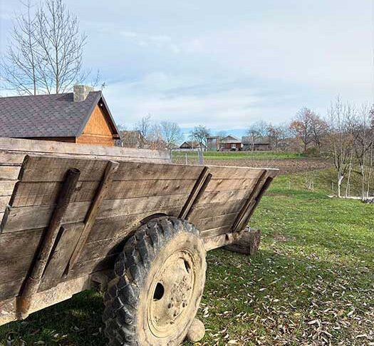 А ти чого прийшов? Я тебе не кликала. Тістечка я купила для своєї онуки. Ти чужий! Тобі ні крихти! — процідила крізь зуби мати Євгена, п’ятирічному Денисові