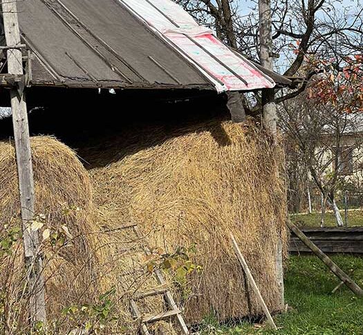 Ти вже стара, зрозумій це. Нашому синові потрібна молода мати, а не бабуся! Я йду і забираю дитину. Я давно маю іншу жінку. Вона стане прекрасною матір’ю для Толіка. Ти вже вибач за прямоту, але ж ти не хочеш, щоб пацана дражнили, називаючи його матір старою бабкою? А це станеться!.. Краще зараз все передбачити – заява чоловіка пролунала, як грім серед ясного неба