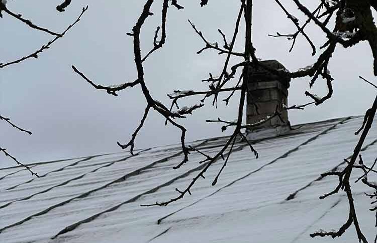 Ви що собі дозволяєте! Та хіба можна так з матері знущатися! Я онука хотіла, а ви що мені підсунули? Та я одразу відчула, що це не наша кров! — злісно проворчала свекруха