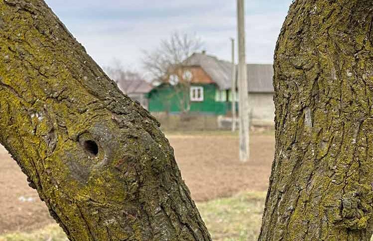 Дімо, а ось скільки тобі років? – несподівано спитала Наташа. – Мені двадцять три. А що? – Та нічого. Це чудовий вік. Одне засмучує, що об’єктом для залицяння ти вибрав дуже дорослу жінку. Мені сорок три! Наташа сказала це з усмішкою і чекала, що Діма здивується і одразу прибере свою руку з її долоні. Але те що хлопчина зробив дальше відібрало мову в Наталки