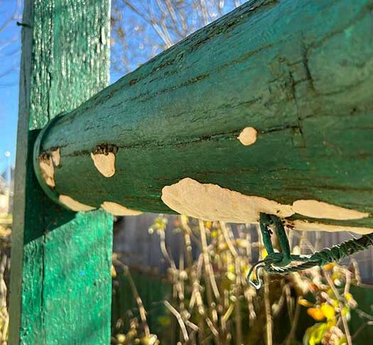 Не знаю мамо, тепер ти в моєму житті зайва. Поживи на дачі, або в притулок якийсь влаштуйся, придумай щось, – викаррбувала Аліна рідній матері