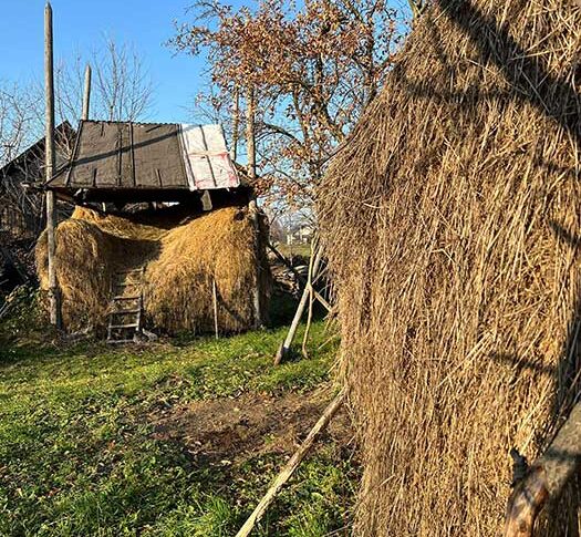 Замовкни! Мені байдуже що це твоя квартира. Я приїхала і буду жити зі своїм сином! – викарбувала свекруха Марії. Але невістка теж була не подарунок