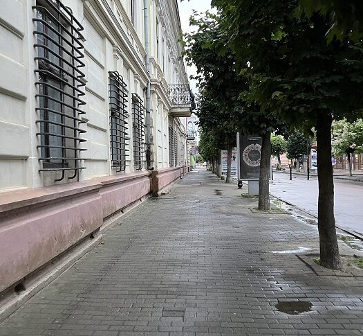 Малюк притулився носом до скла, уважно оглядаючи прикраси. Тітко моя мама дуже хвора. Я хочу подарувати їй ось ці сережки, щоб вона виздоровіла, – Хлопчик простягнув Наталці кілька зім’ятих купюр, які він стискав у долоні — (ПЕРША ЧАСТИНА)