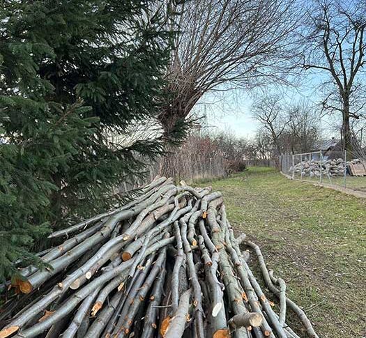 Ой Світлано, ну навіщо тобі подарунки? Ну подумаєш день народження в тебе, ну і що? Ти й так нікуди не ходиш! Ось вийдеш на роботу влітку, купиш собі, що захочеш, – випалив Микола дружині