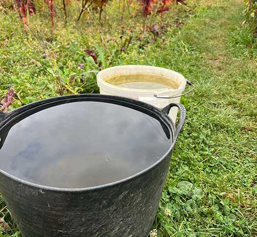 На ваше весілля я своєму синочкові дарувала чайник, але оскільки ви розійшлися, я прийшла забрати свій подарунок! – з’явившись на порозі, випалила свекруха Дарині і натягнула посмішку