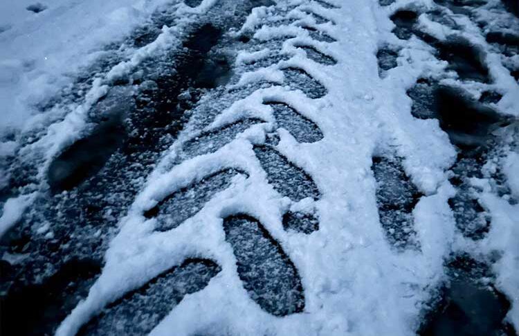 Не знаю мамо, тепер ти в моєму житті зайва. Поживи на дачі, або в притулок якийсь влаштуйся, придумай щось, – викаррбувала Аліна рідній матері