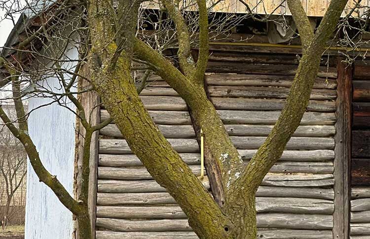 Ніно Пилипівно, а це хто на фотографії з вашою Тетяною? – спитала Ольга, впізнавши і ткнувши пальцем на Марка, власного чоловіка. Але почувши відповідь вона просто остовпіла
