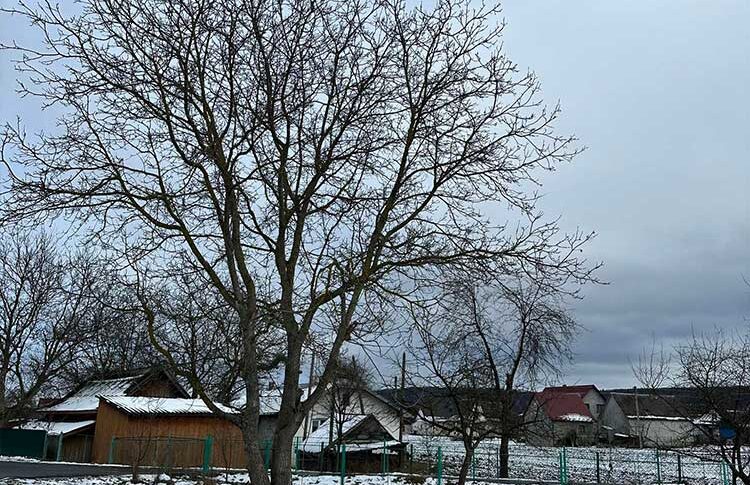 Як я з тобою у світ вийду? Там мої бізнес-партнери з гарними дружинами… А ти? Мені соромно з тобою з’явитися на людях! Ти знаєш, як виглядають супутниці важливих для мене людей? Якщо ти стоятимеш зі мною поруч, мене не сприйматимуть серйозно. Твоя зовнішність поховає мій успіх, Валю. — викарбував чоловік дружині