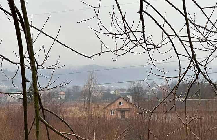 Мій чоловік звинуватив мене в безплідності перед своєю матір’ю. Але ж він чудово знав що бреше. Але ж якби він тільки знав чим все закінчиться, після цієї його витівки