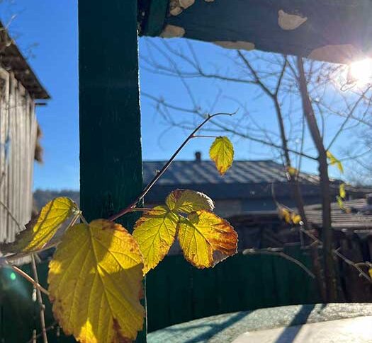 На ваше весілля я своєму синочкові дарувала чайник, але оскільки ви розійшлися, я прийшла забрати свій подарунок! – з’явившись на порозі, випалила свекруха Дарині і натягнула посмішку