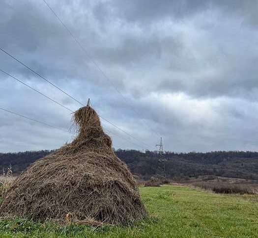 Як це ти посміла не погоджуватись? Ти мусиш кинути все заради мого синочка, і робити все так як він хоче — заявила мені свекруха